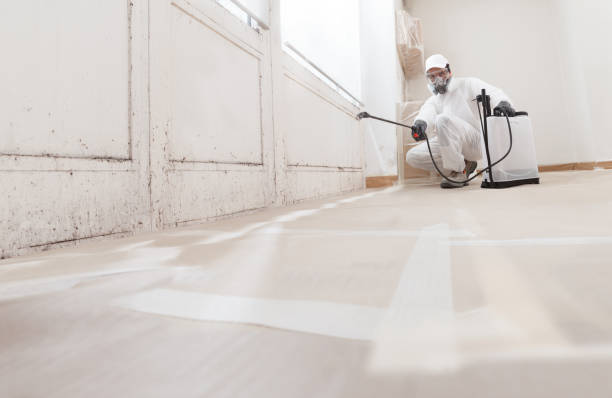 24/7 Emergency Attic Mold Removal experts in Freeman, VA
